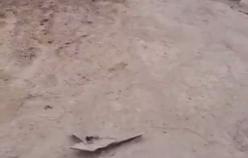 Thumbnail preview image for the video titled: An Israeli settler invading Khirbet al-Markaz with his livestock the local community