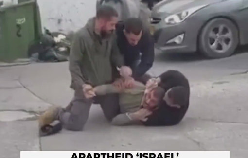 Thumbnail preview image for the video titled: Israeli human rights group Abraham Initiatives documented the killing of 252 israeli Palestinians in 2025