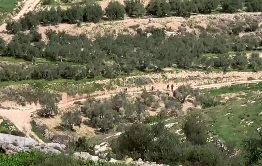Thumbnail preview image for the video titled: Dozens of settlers have been fencing off a vast area north of the village of Ni'lin