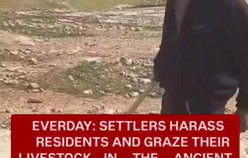 Thumbnail preview image for the video titled: The efforts to ethnically cleanse Masafer Yatta continue