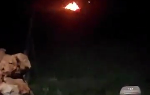 Thumbnail preview image for the video titled: Night in Duma: settlers dancing and chanting ‘may your village burn' near the family house