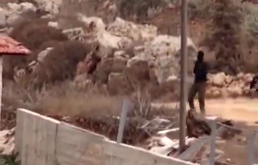Thumbnail preview image for the video titled: A group of Israeli settlers descended from a terror outpost slaughtering innocent civilians in the streets, incl a child