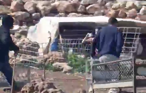 Thumbnail preview image for the video titled: Settlers attacked two solidarity activists, including an 18-year-old woman, earlier today in Duma