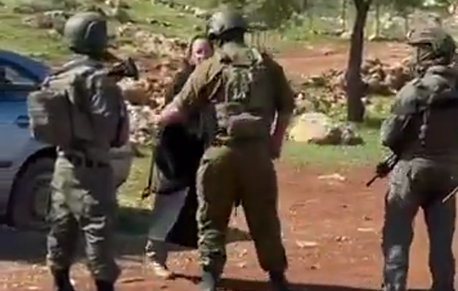 Thumbnail preview image for the video titled: While settlers carried out a pogrom on Duma, the Journalist Adele Shoko was arrested by Israeli soldiers
