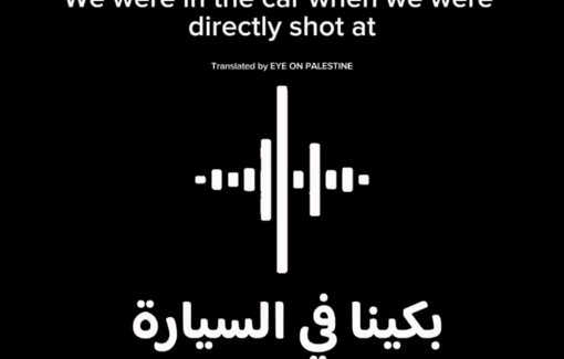 Thumbnail preview image for the video titled: The surviving child of Bani Odeh family recounts the assault of ther car by Border Police