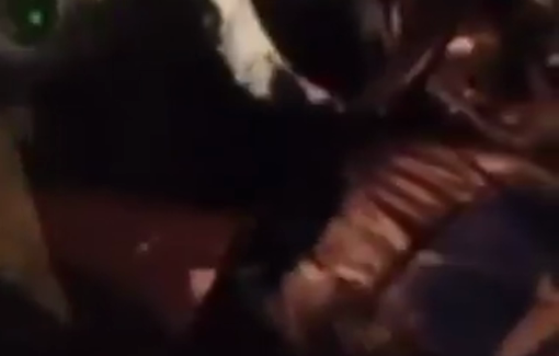 Thumbnail preview image for the video titled: A surviving child of the Bani Odeh family, executed at point-blank range, left terrified in the car