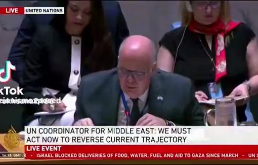 Thumbnail preview image for the video titled: Testimony of Dr. Feroze Sidhwa before the Security Council regarding the intentional targeting of civilians by Israeli forces