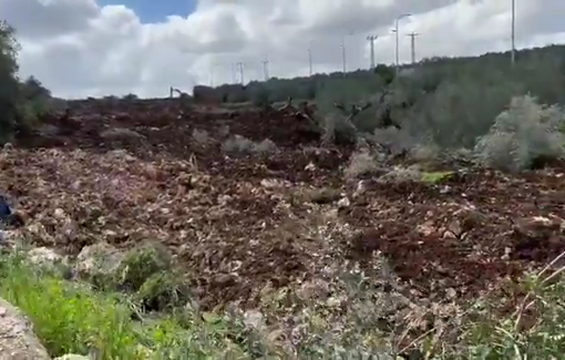 Thumbnail preview image for the video titled: Israeli military bulldozers uprooted Palestinian-owned land olive trees in Deir Istiya