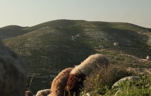 Thumbnail preview image for the video titled: Investigation on the circumstances of the death of Yehuda Shmuel Sherman