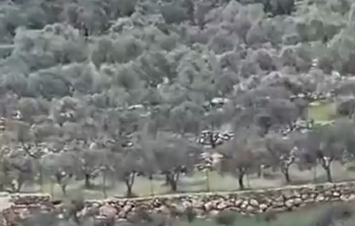 Thumbnail preview image for the video titled: Soldiers abuse Palestinians at a checkpoint near the town of al-Mughayyir