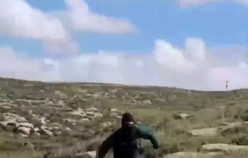 Thumbnail preview image for the video titled: Unhinged violence by masked settlers in Masafer Yatta, who attacked a Palestinian shepherd and activists and injured 2 people