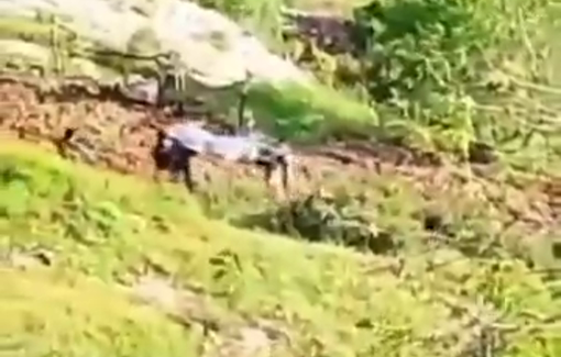 Thumbnail preview image for the video titled: Israeli soldiers abducting the body of Muhammad Murad Rayan (17) in Beit Duqqu