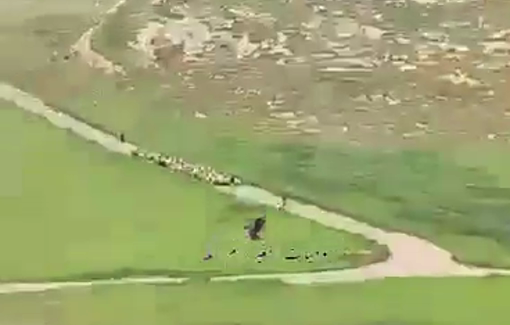 Thumbnail preview image for the video titled: Israeli settlers are stealing livestock in the al-Dhahr area of the village of al-Mughayyir, northeast of Ramallah.