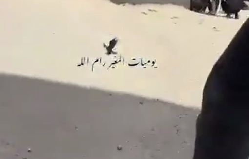 Thumbnail preview image for the video titled: The shocking scene that documents the moment Aws Hamdi Naasan was shot in cold blood by Israeli settlers in the village of Al-Mughayyir