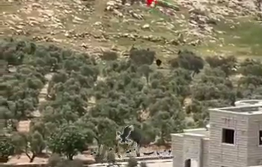 Thumbnail preview image for the video titled: The settler firing with live bullet in direction of the Boy school in Al Mughayyir, killing 2, injuring 3