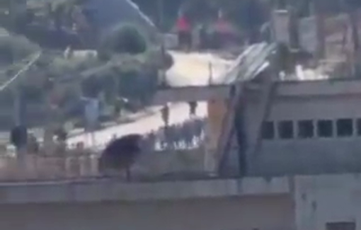 Thumbnail preview image for the video titled: Mass arrests and residents paraded in Deir Dibwan after a settler shot and killed a man