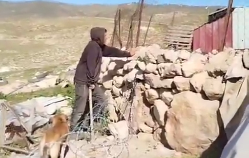 Thumbnail preview image for the video titled: Israeli settlers, accompanied by their livestock, storm the vicinity of residents’ homes in Khirbet al-Fakheit