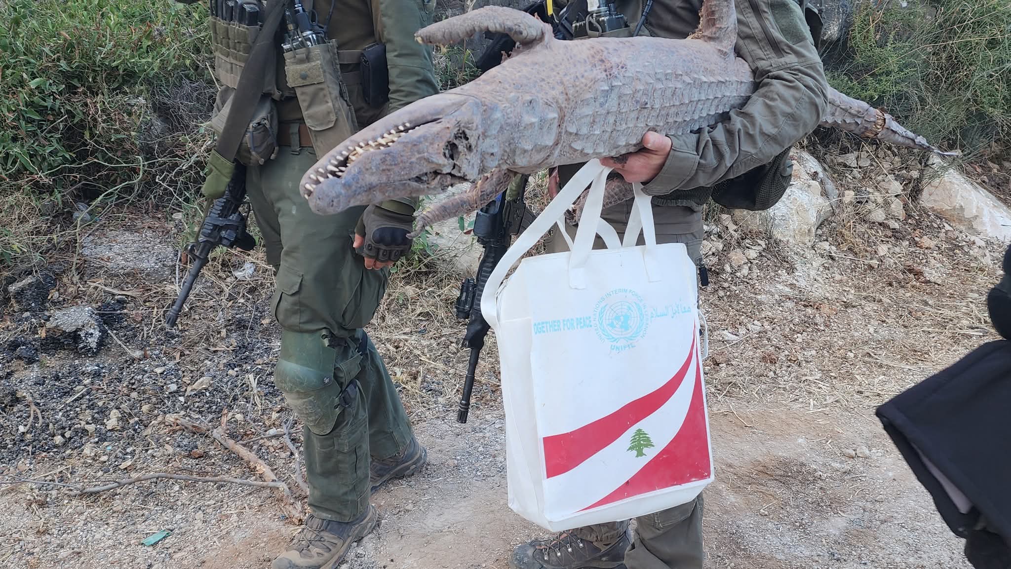 Thumbnail preview image for the video titled: Israeli soldiers looting belongings from a home in Kfar Kila, Lebanon
