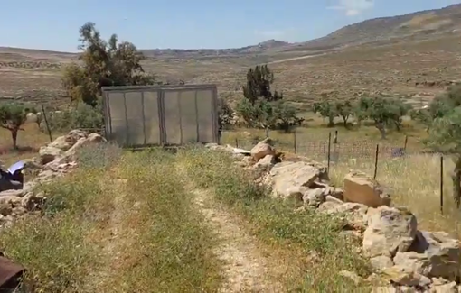 Thumbnail preview image for the video titled: In Khirbet al-Marajam, settlers, backed by soldiers, herd cows inside a closed military zone, near Palestinian homes