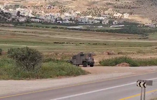 Thumbnail preview image for the video titled: Near Al-Mughayyir. Israeli army protecting settlers herding their flocks on Palestinian land