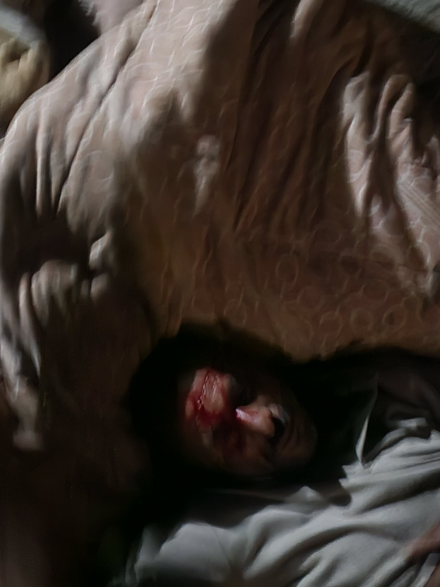Thumbnail preview image for the video titled: Aftermath of a pogrom carried out by settlers in Ein al-Hilweh