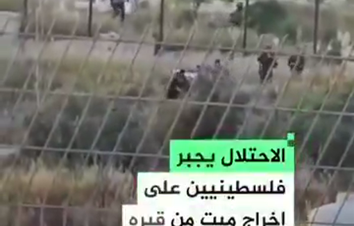 Thumbnail preview image for the video titled: Settlers began digging up the grave to exhume a Palestinian buried on the morning in Al-'Asa'asa