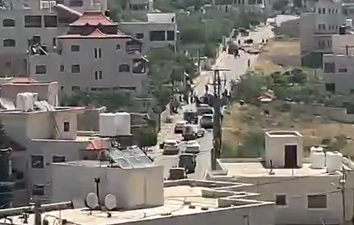 Thumbnail preview image for the video titled: Settlers steal Palestinian sheep; owners arrested by Israeli forces