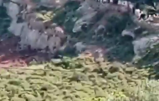 Thumbnail preview image for the video titled: Israeli settler just stole a herd belonging to a local Palestinian family in Sinjil, north of Ramallah,