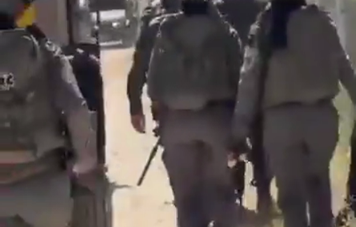 Thumbnail preview image for the video titled: Israeli forces prevent Palestinians from retrieving their own livestock stolen by Israeli settlers during the attack in Sinjil