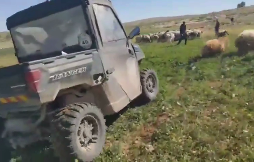 Thumbnail preview image for the video titled: Settler Aharon Simchovitz drove Palestinian flocks off their land by honking and driving his ATV toward the sheep.