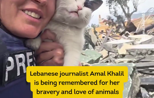 Thumbnail preview image for the video titled: In memoriam Amal Khalil