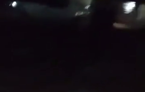 Thumbnail preview image for the video titled: A settler riding a donkey, hits a solidarity activist with a metal chain invaded Dar Faza'a community