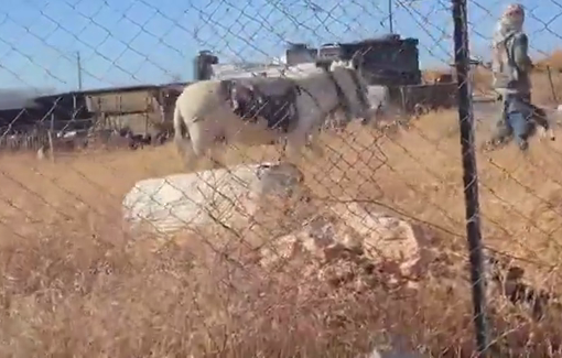 Thumbnail preview image for the video titled: Israeli grazing along Dar Faza’a fences confines Palestinians to their communities and prevents them from grazing