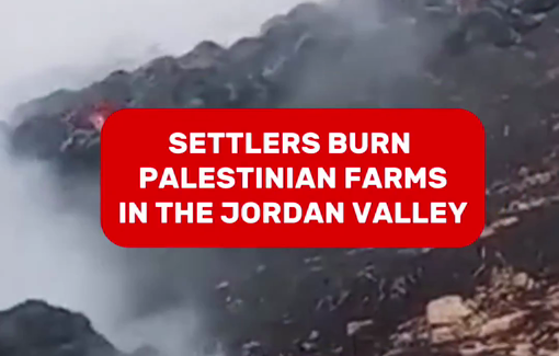 Thumbnail preview image for the video titled: In Al-Farsiya, settlers set fire to Palestinian farms, water sources, and water pipes.