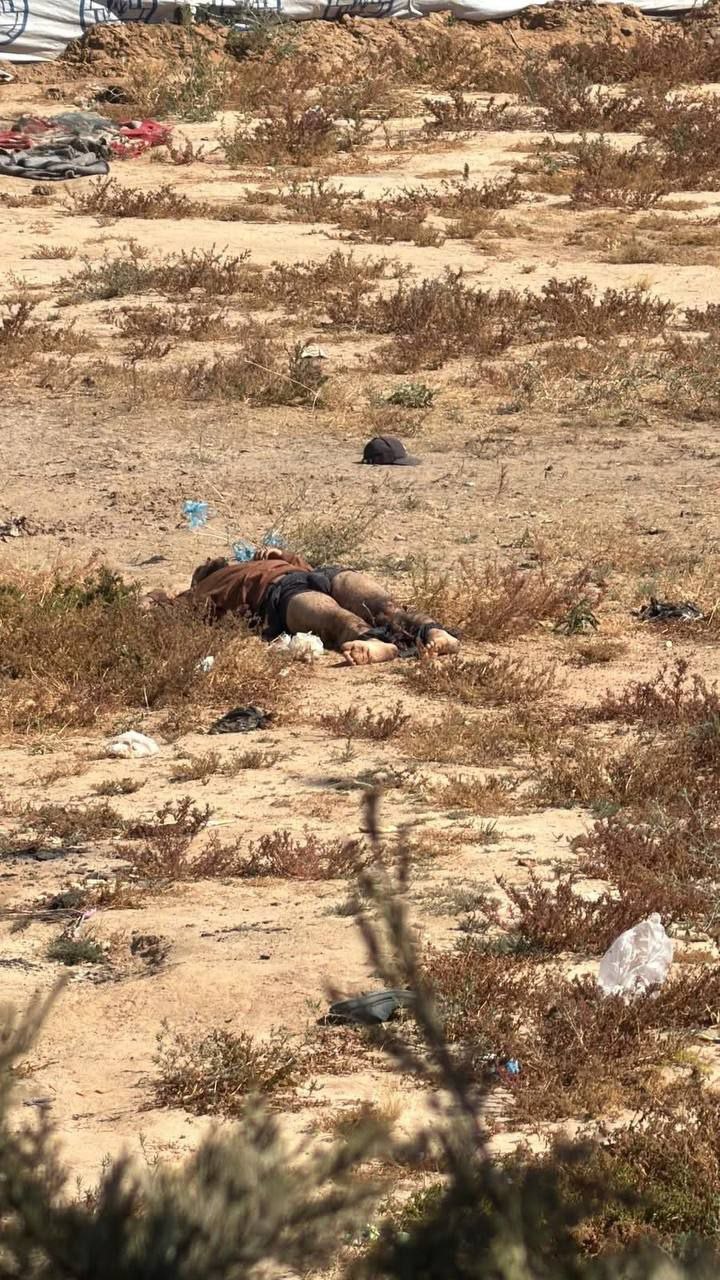 Thumbnail preview image for the video titled: Young man killed by Israel in Zawayda, central Gaza