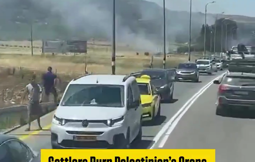 Thumbnail preview image for the video titled: Israeli settlers set fire to Palestinian-owned crops in al-Lubban ash-Sharqiya