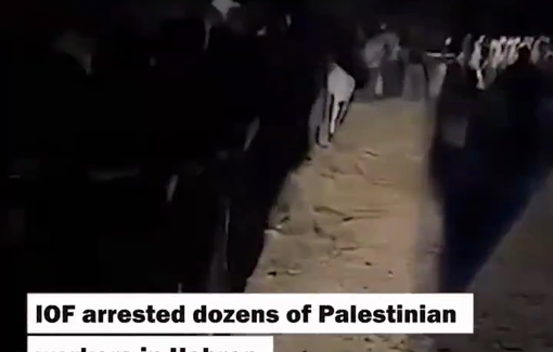 Thumbnail preview image for the video titled: Israeli forces arrested dozens of Palestinian workers near the towns of Tarqumiya and Beit Ula, northwest of Hebron
