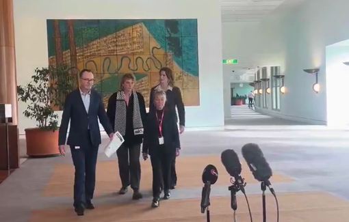 Thumbnail preview image for the video titled: Global Sumud Flotilla activists, survivors of torture and sexual violence by Israeli forces, speak at Australia's Parliament House