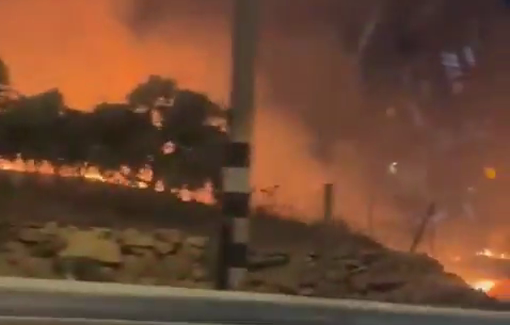Thumbnail preview image for the video titled: Israeli settlers attacked the village of Beitin setting tens of olive trees on fire