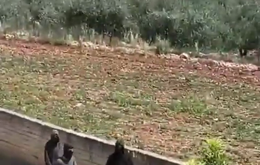 Thumbnail preview image for the video titled: Armed and masked Israeli settlers invading the town of Huwara, south of Nablus