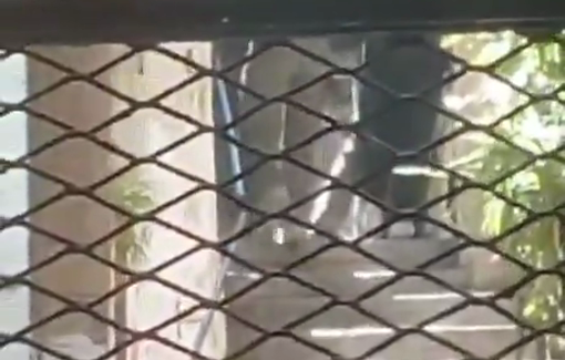Thumbnail preview image for the video titled: Israeli forces arrested a young man from Balata refugee camp after a three-hour siege of his home