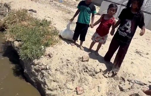 Thumbnail preview image for the video titled: Barefoot displaced children need help crossing a stream of sewage due to Israel's complete destruction of infrastructure and continued blocking of necessary equipment