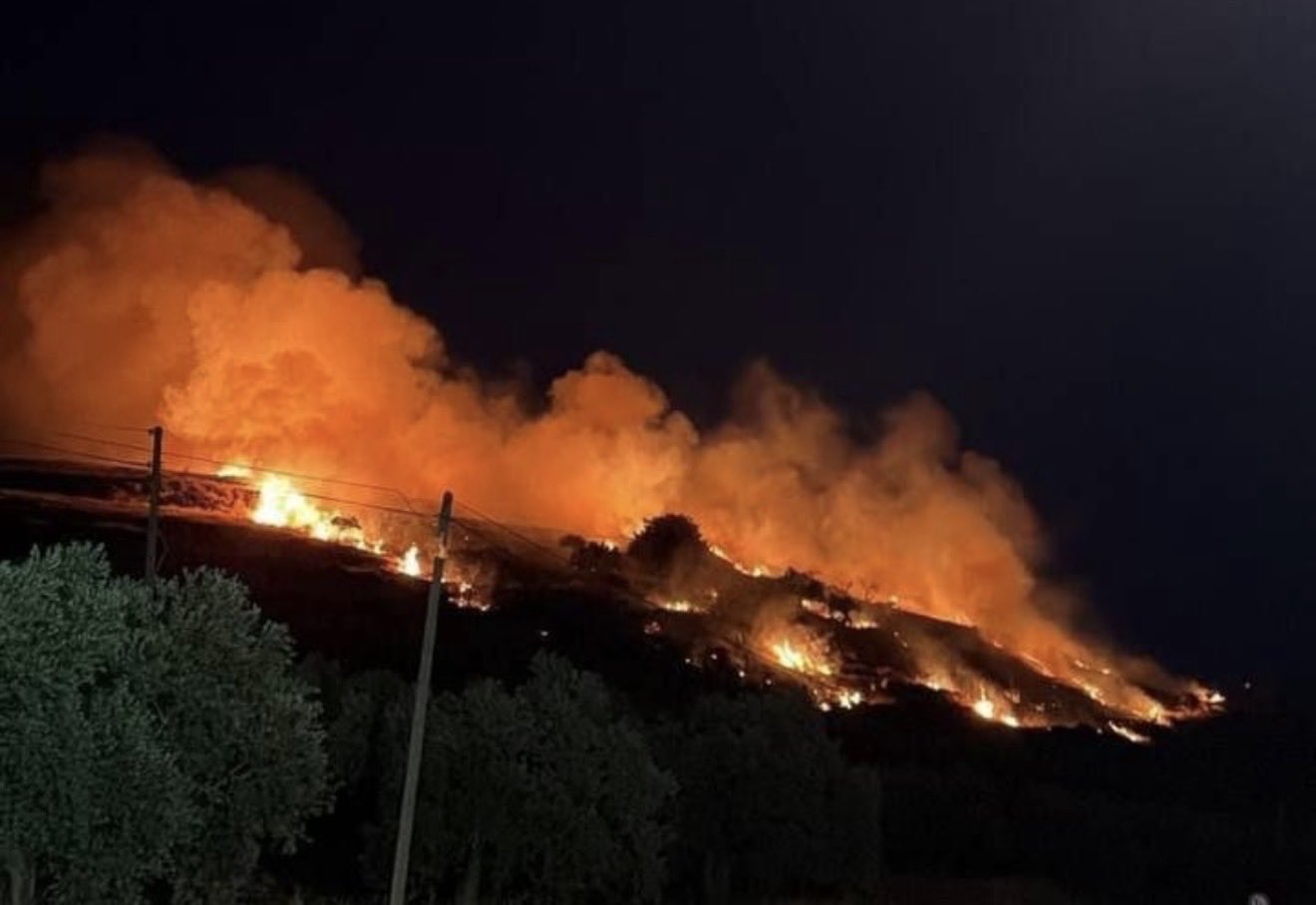 Thumbnail preview image for the video titled: Israeli settler gangs et fire to a hillside on the outskirts of the Christian village of Taybeh
