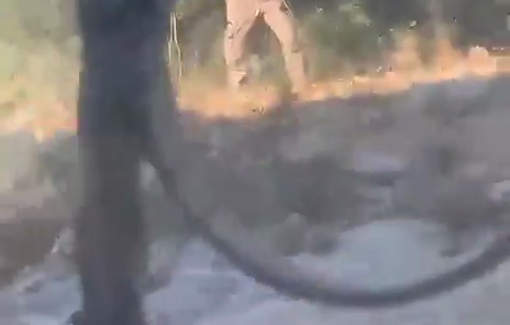 Thumbnail preview image for the video titled: Armed settlers attacking local palestinian residents in Deir Abu Mashal