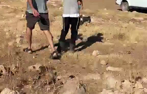 Thumbnail preview image for the video titled: Khirbet al-Tawil (Aqraba): routine activity by children from the nearby outpost, Noam Jackson’s outpost