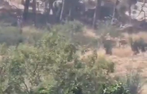 Thumbnail preview image for the video titled: Israeli bulldozer closed the entrance to the agricultural station between the town of Beit Ummar and Al-Arroub R.C.