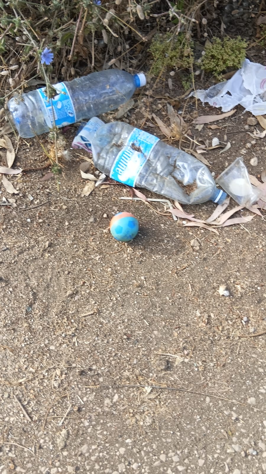 Thumbnail preview image for the video titled: In Doueir, Israeli forces left unexploded ordnance disguised as colorful children's balls