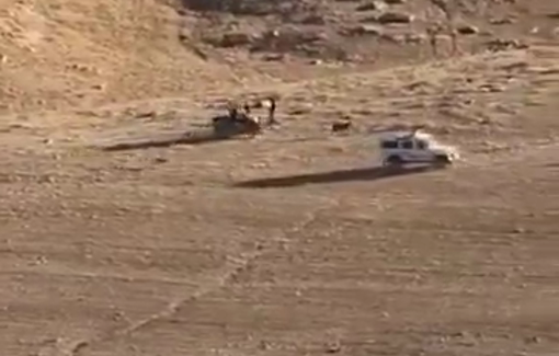 Thumbnail preview image for the video titled: Settlers tried to steal sheep in the village of Khirbet al-Fakheit