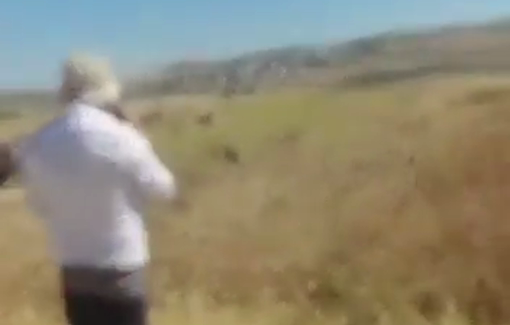Thumbnail preview image for the video titled: Israeli soldiers prevent to harvest Palestinian land in Beit Furik