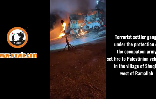 Thumbnail preview image for the video titled: Settlers set fire to a vehicle graveyard, causing the fire to spread to large areas of the graveyard in the village of Shuqba